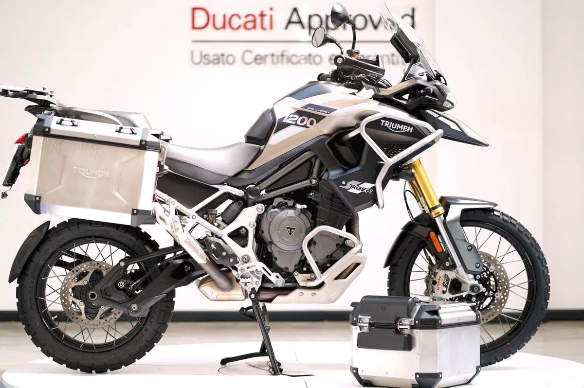 Triumph Tiger 1200 Rally Pro (2024 - 26)