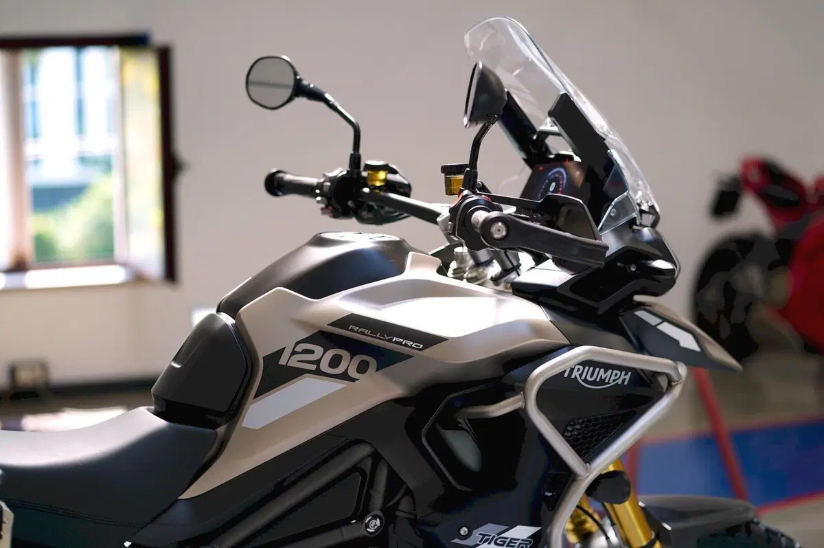 Triumph Tiger 1200 Rally Pro (2024 - 26) (11)