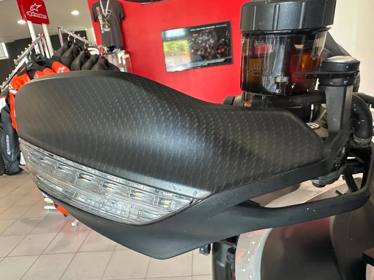 Ducati Multistrada 950 S (2019 - 20) (4)