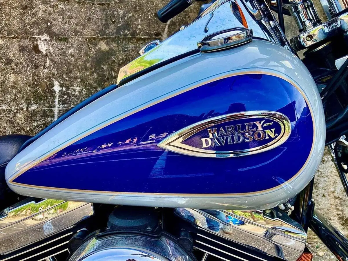 Harley-Davidson 1340 Heritage Springer (1997 - 99) - FLSTS (15)