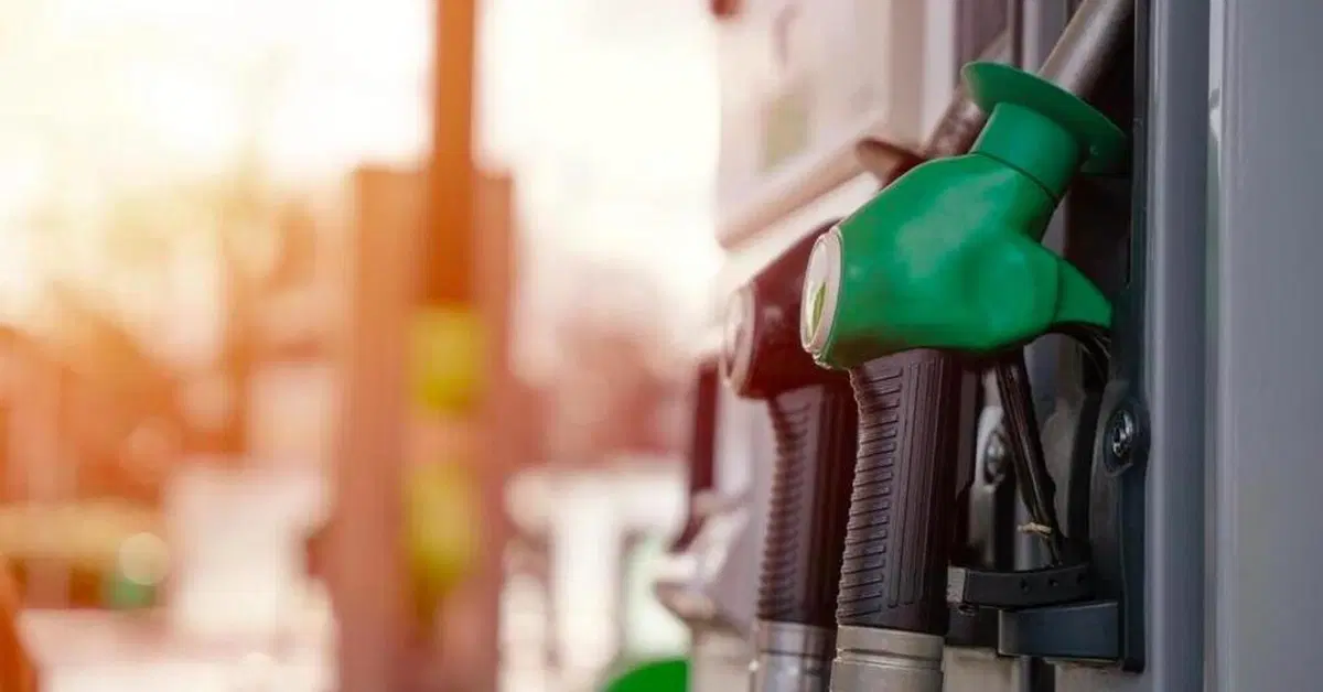 Pieni a rischio, prezzi fantasma e benzina "annacquata": l'incubo di chi viaggia in moto