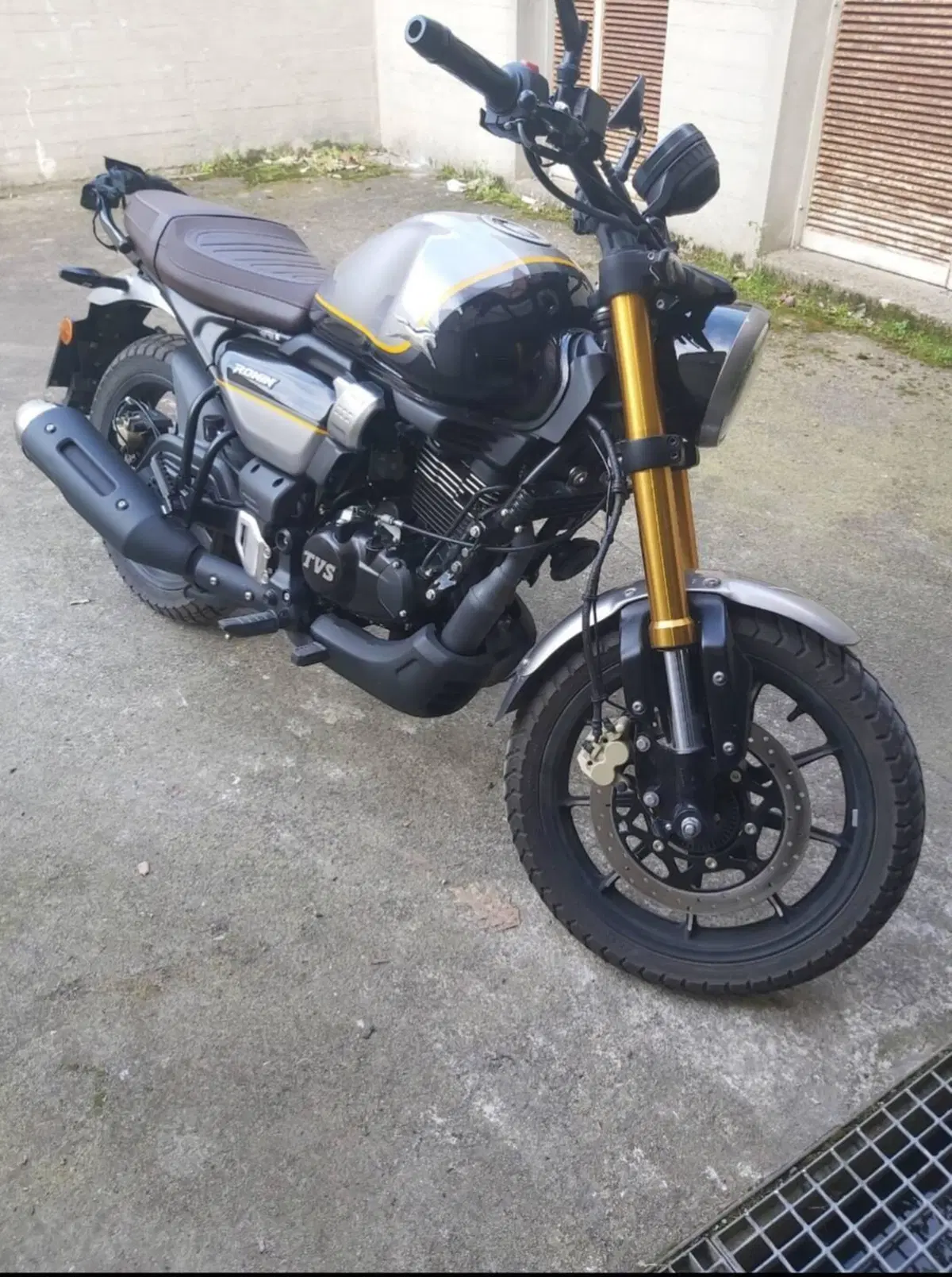 TVS Motor Ronin 250 (2024 - 26)
