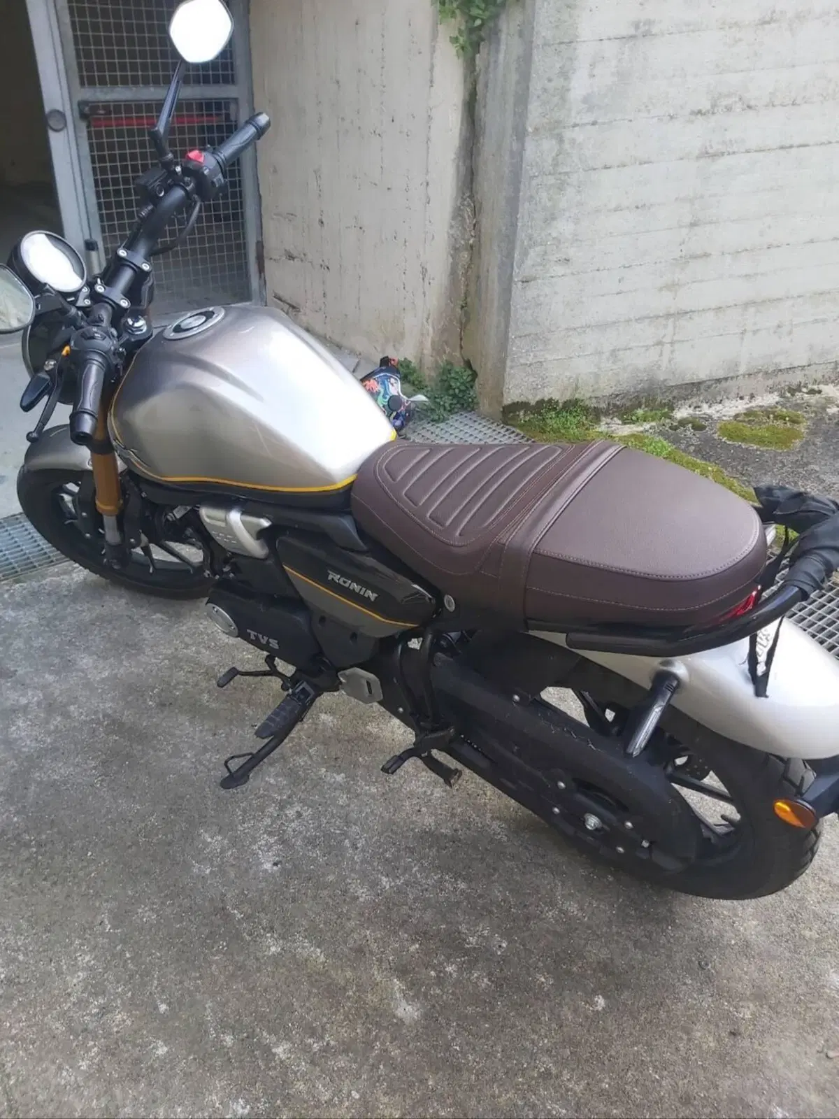 TVS Motor Ronin 250 (2024 - 26) (3)