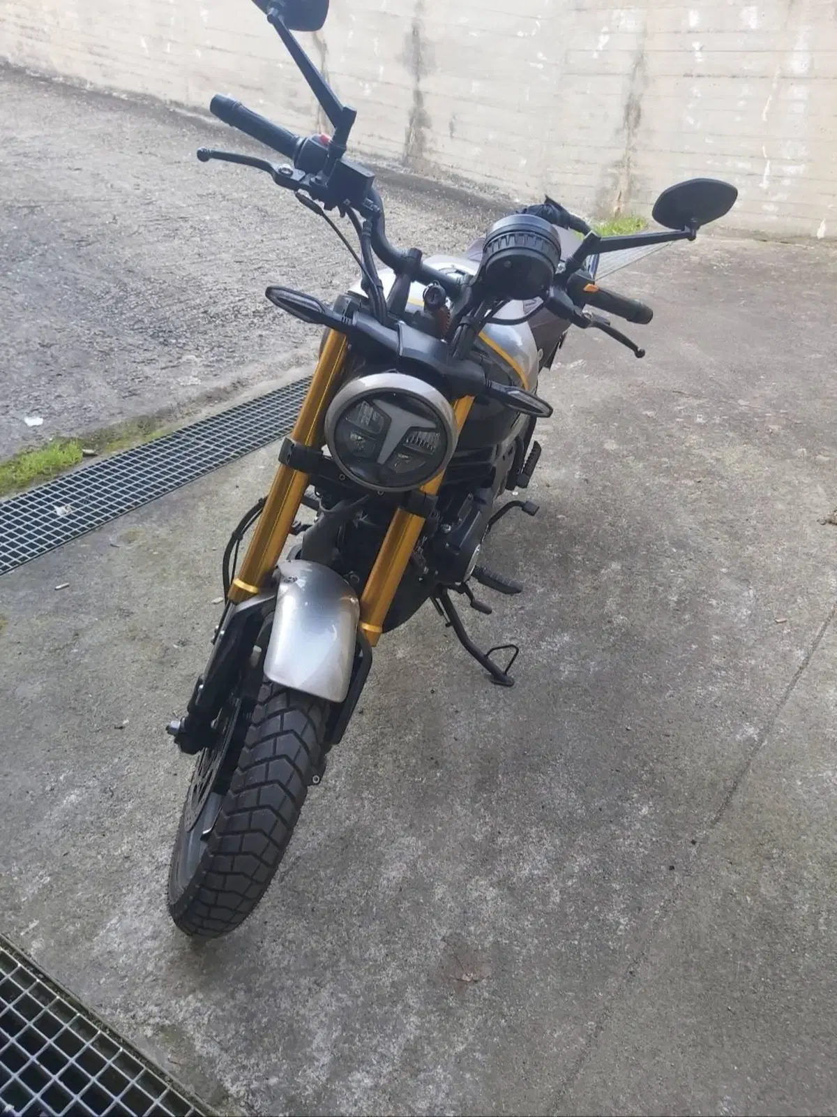 TVS Motor Ronin 250 (2024 - 26) (4)