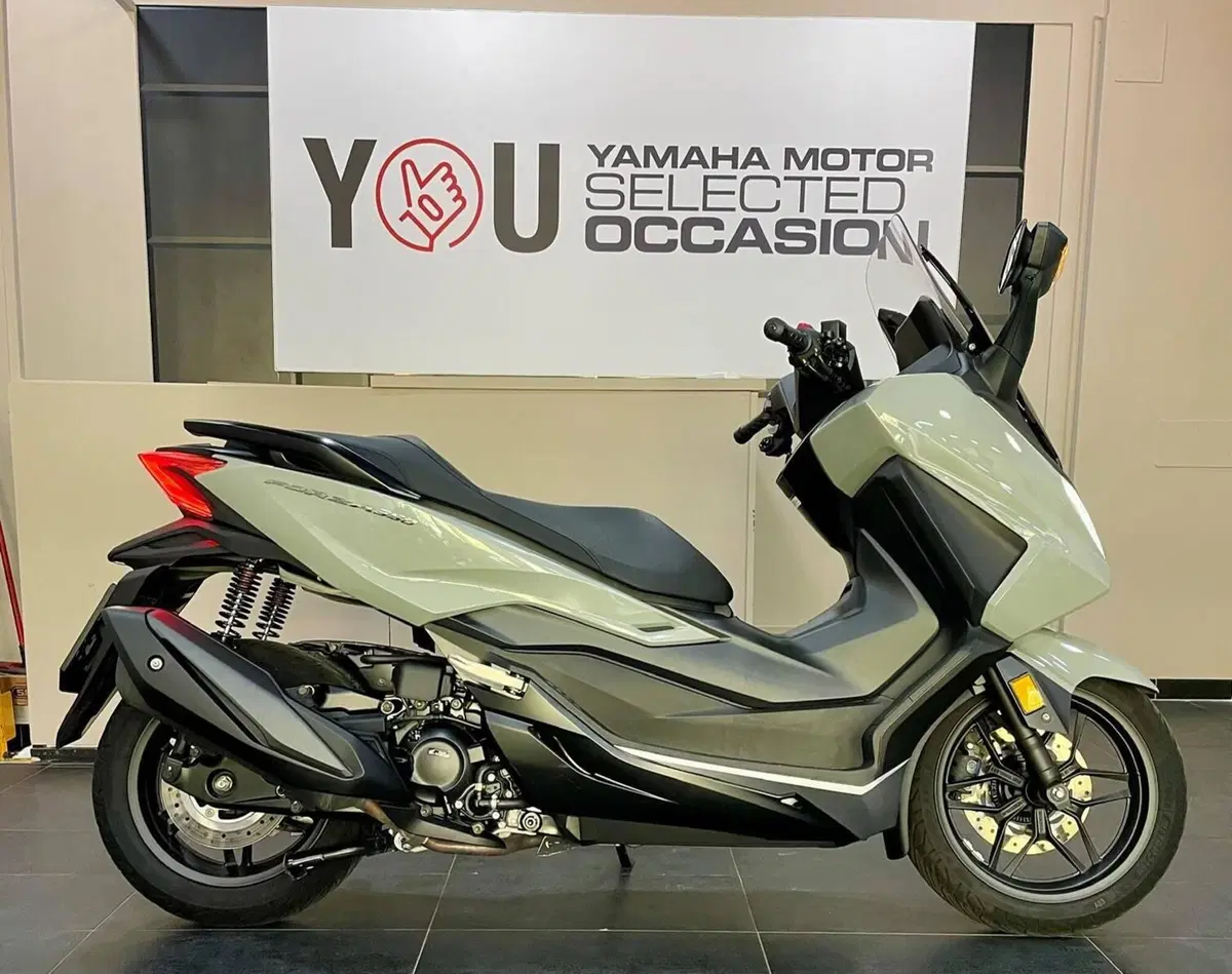 Honda Forza 350 (2022 - 24) (3)