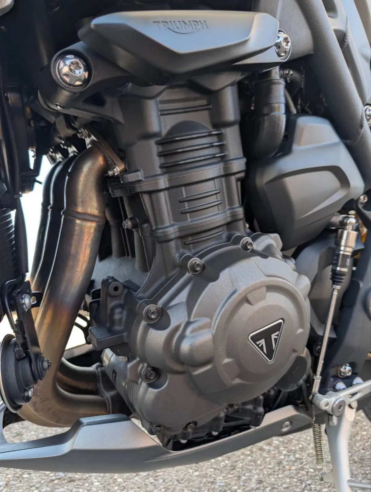Triumph Speed Triple 1200 RS (2021 - 24) (13)