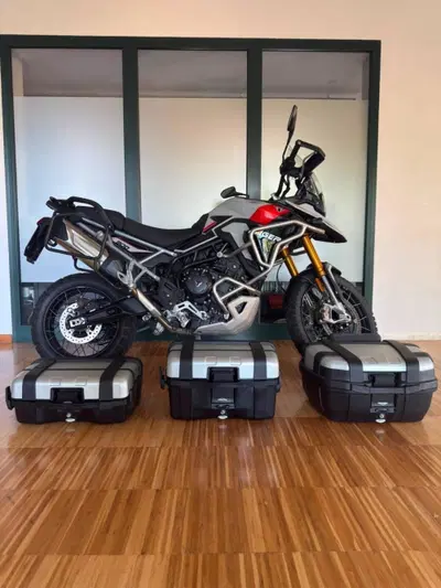 Triumph Tiger 900 Rally Pro (2024 - 26) usata