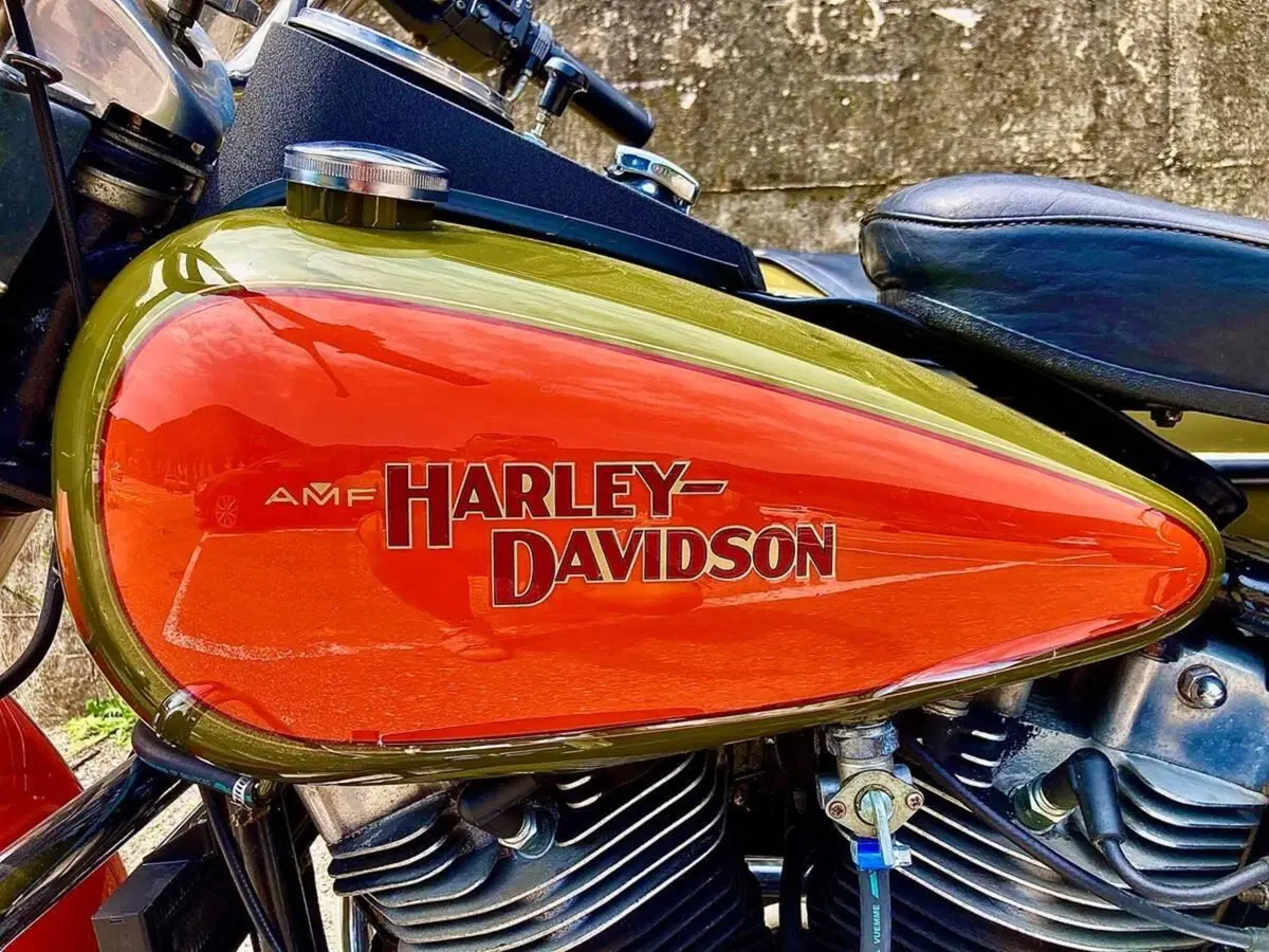 Harley-Davidson ELECTRA GLIDE HERITAGE EDITION  (15)