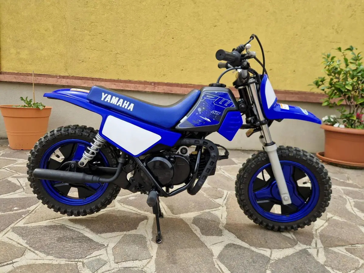 Yamaha PW 50 (2013 - 22) (2)