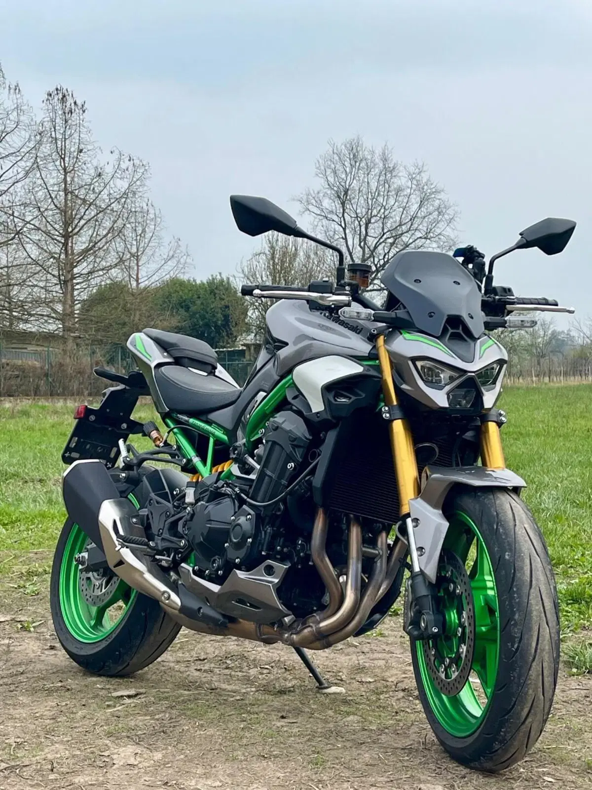 Kawasaki Z 900 SE (2025 - 26) (2)