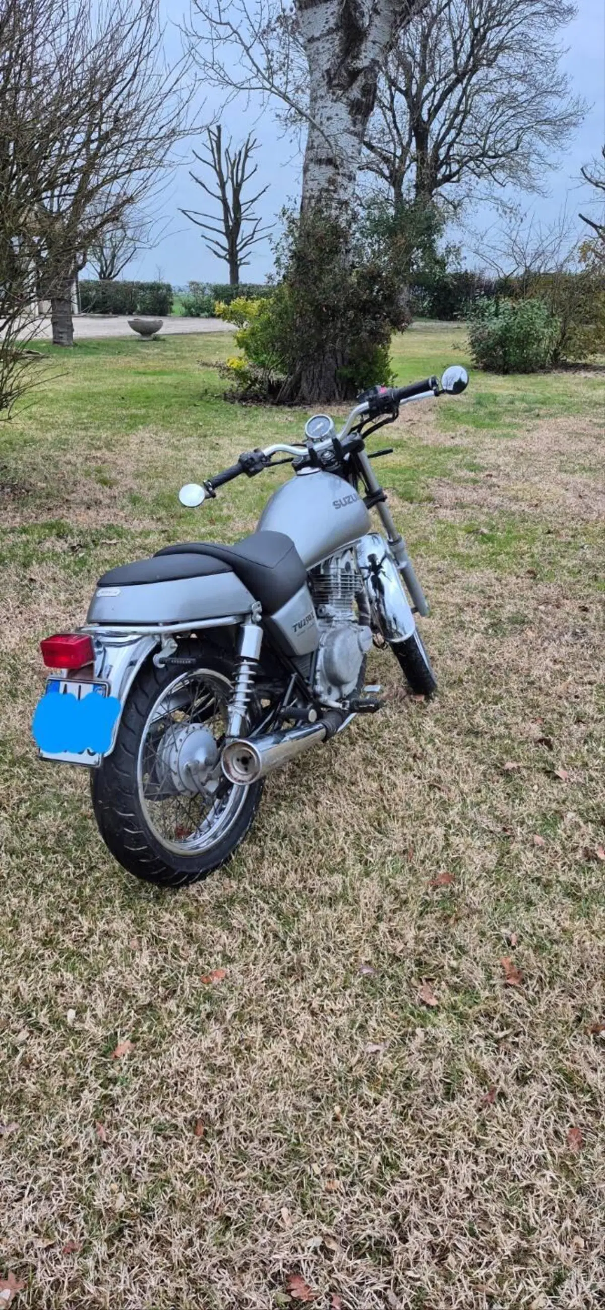 Suzuki TU 250 X (1997 - 03) (3)