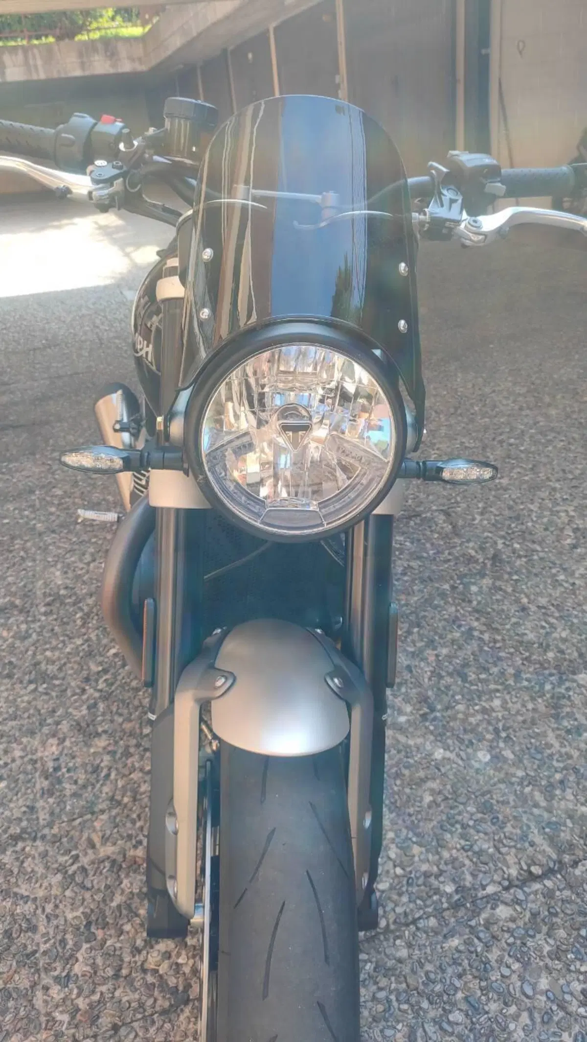 Triumph Speed Twin 1200 (2021 - 24) (5)