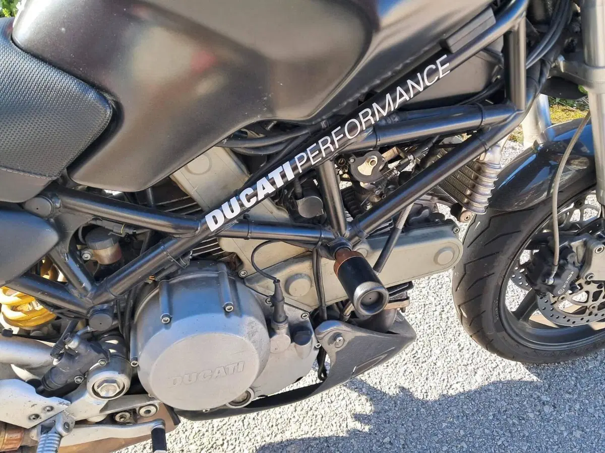 Ducati Monster 800 (2003 - 05) (6)