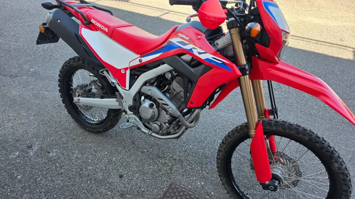 Honda CRF 300L (2021 - 24) (4)