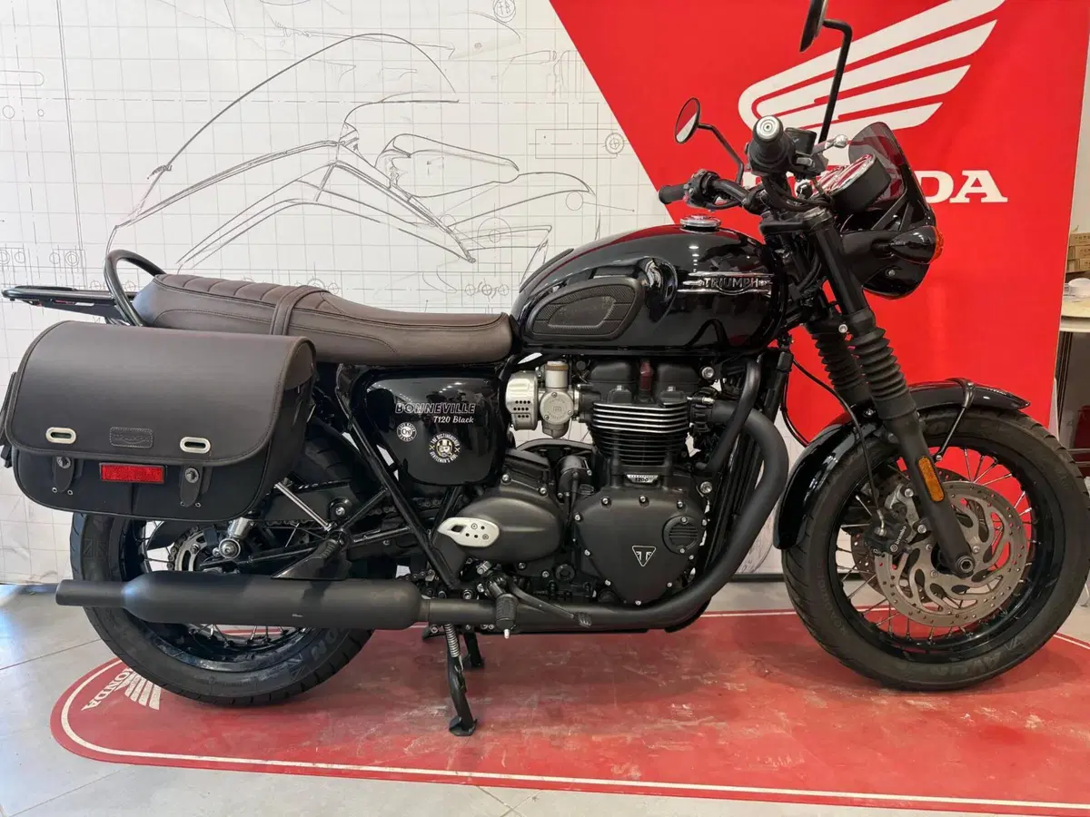 Triumph Bonneville T120 Black (2021 - 25) (8)