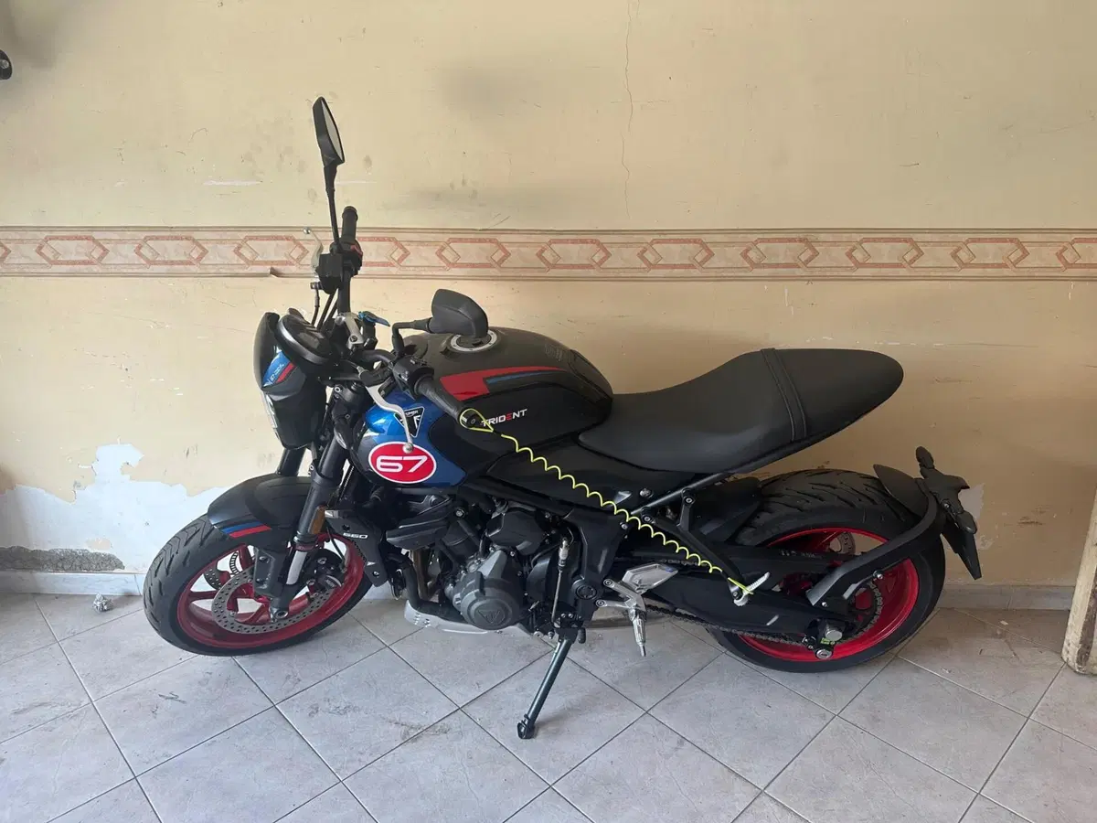Triumph Trident 660 Triple Tribute Edition (2025 - 26) (3)