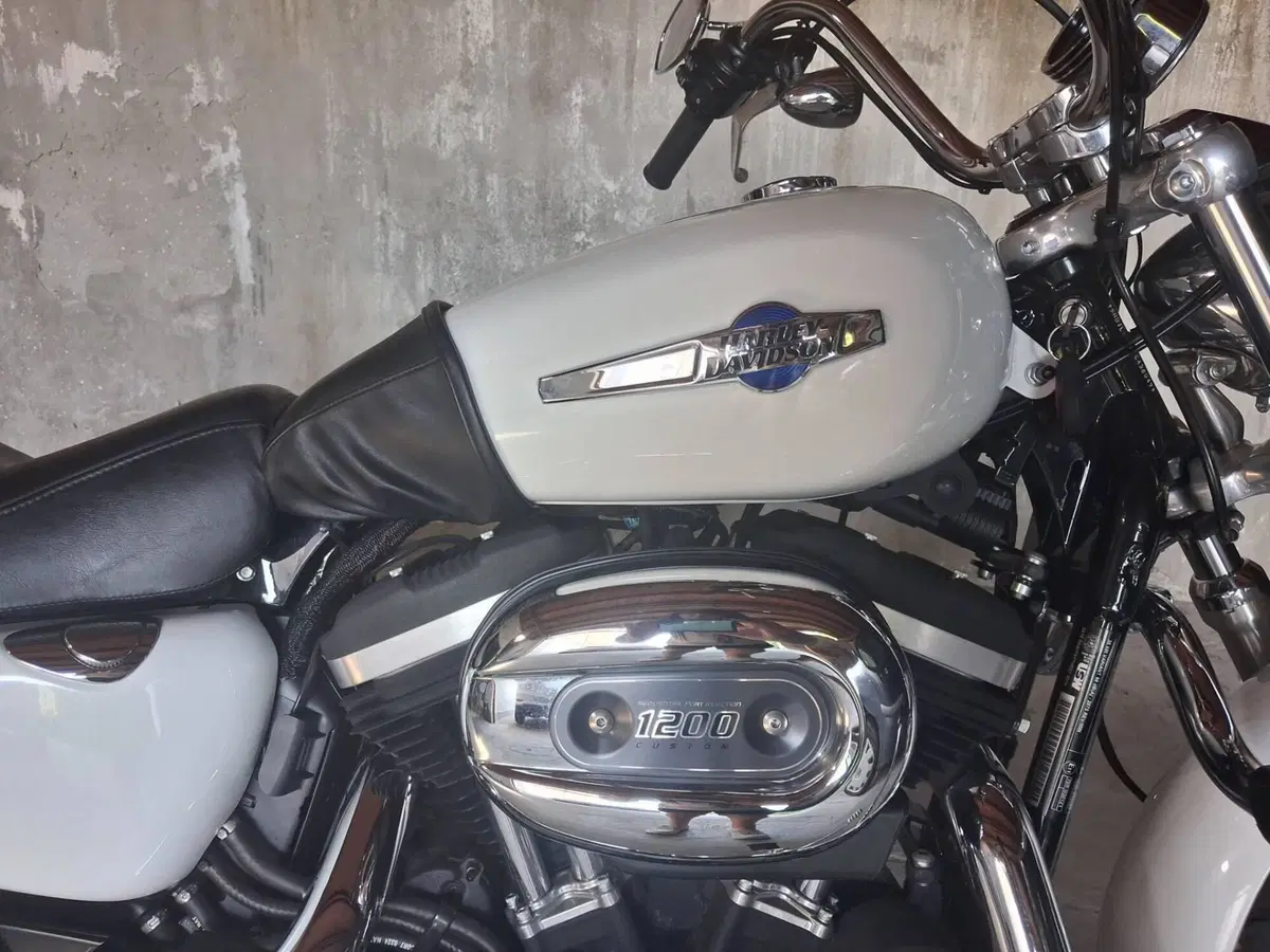Harley-Davidson 1200 Custom CB (2013 - 17) - XL 1200CB (2)