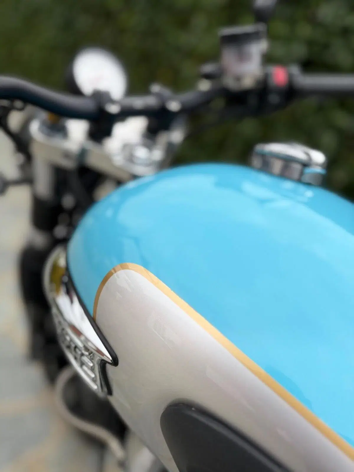 Triumph Thruxton 900 (2004 - 15) (14)