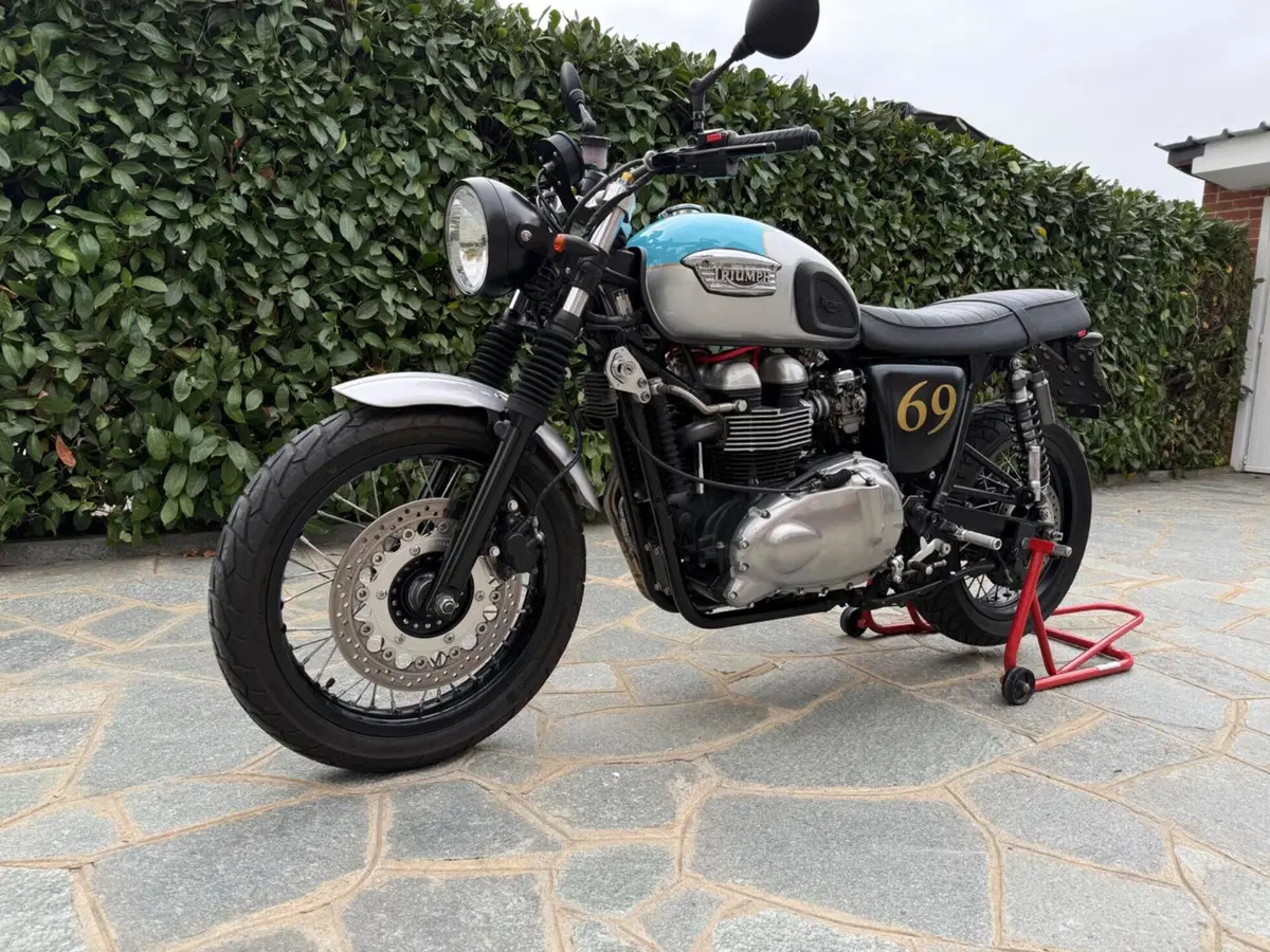 Triumph Thruxton 900 (2004 - 15) (15)