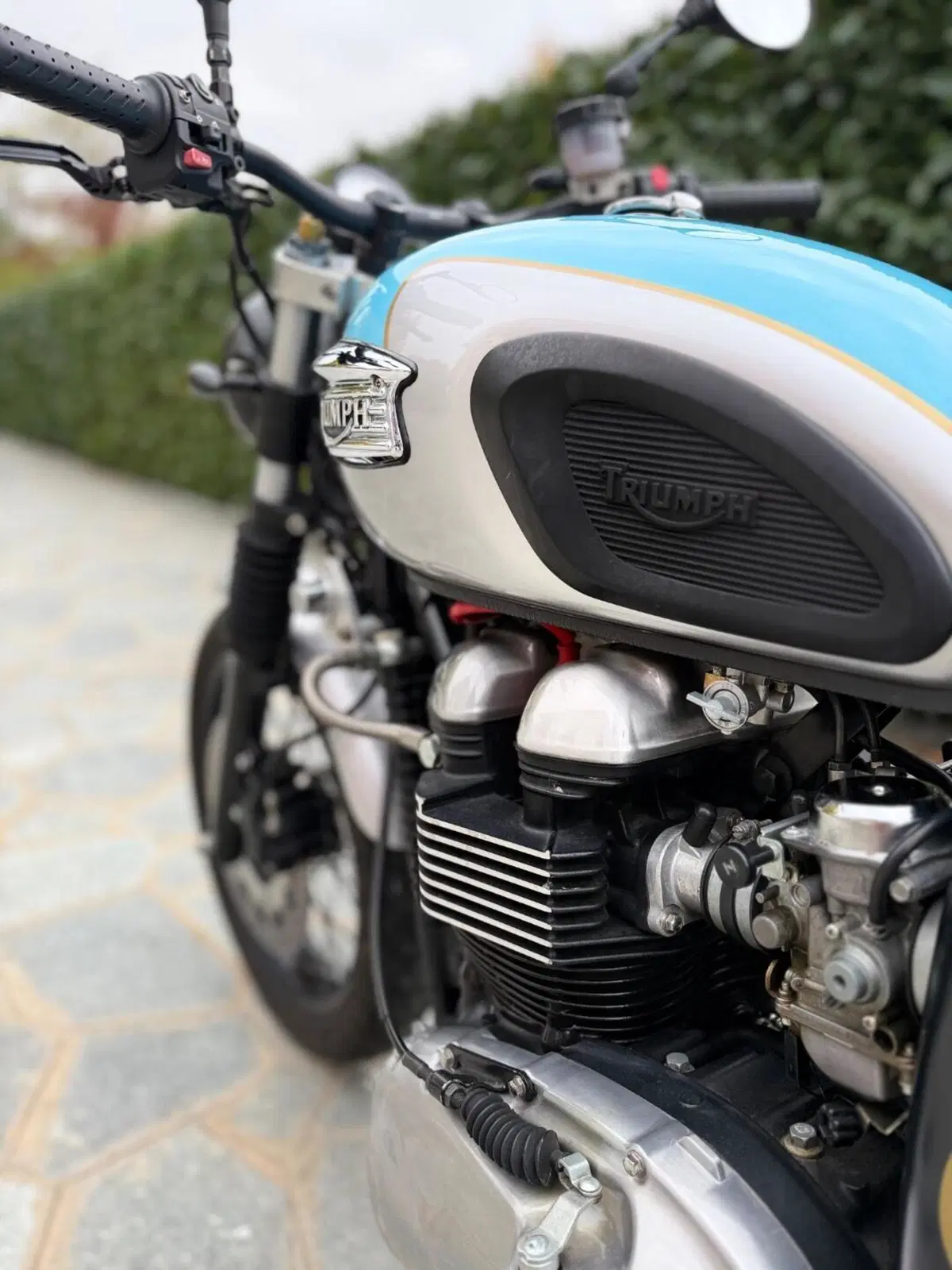 Triumph Thruxton 900 (2004 - 15) (17)