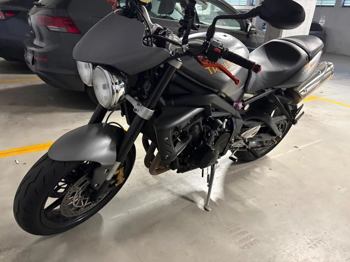 Triumph Street Triple R (2013 - 14) (5)
