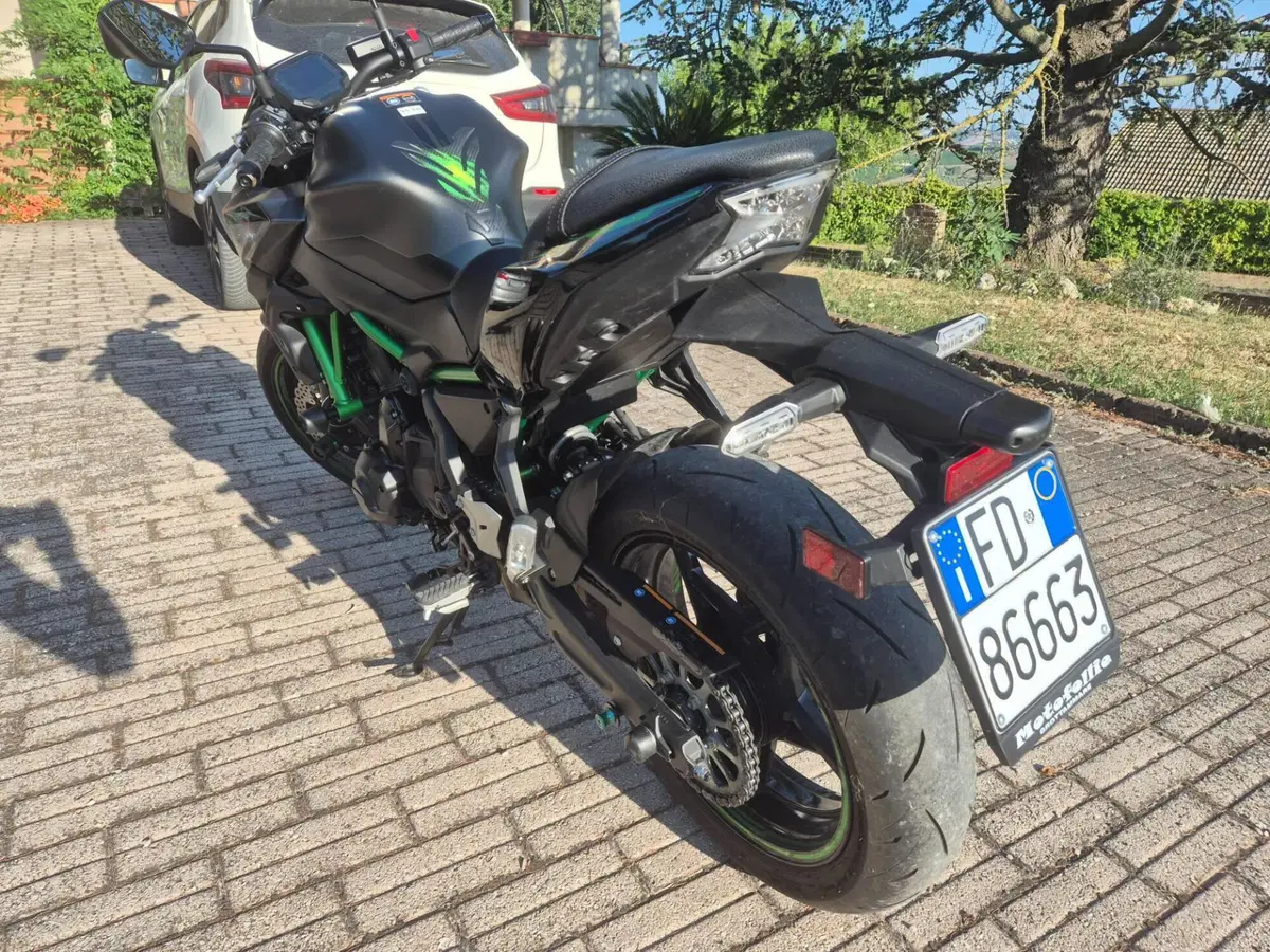 Kawasaki Z 650 (2021 - 24) (6)