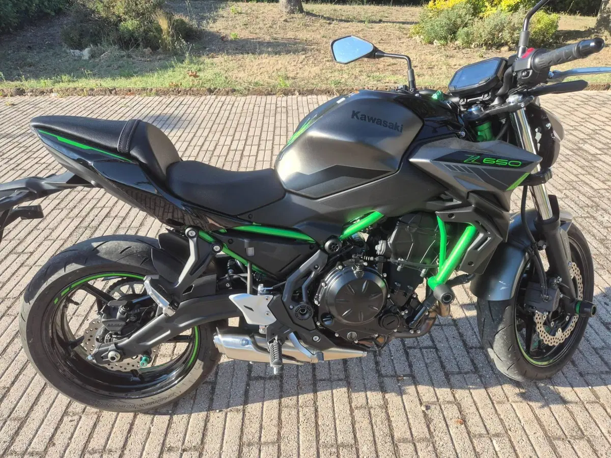 Kawasaki Z 650 (2021 - 24) (7)