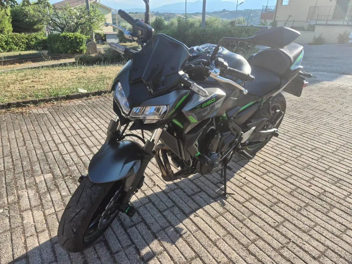 Kawasaki Z 650 (2021 - 24) (8)