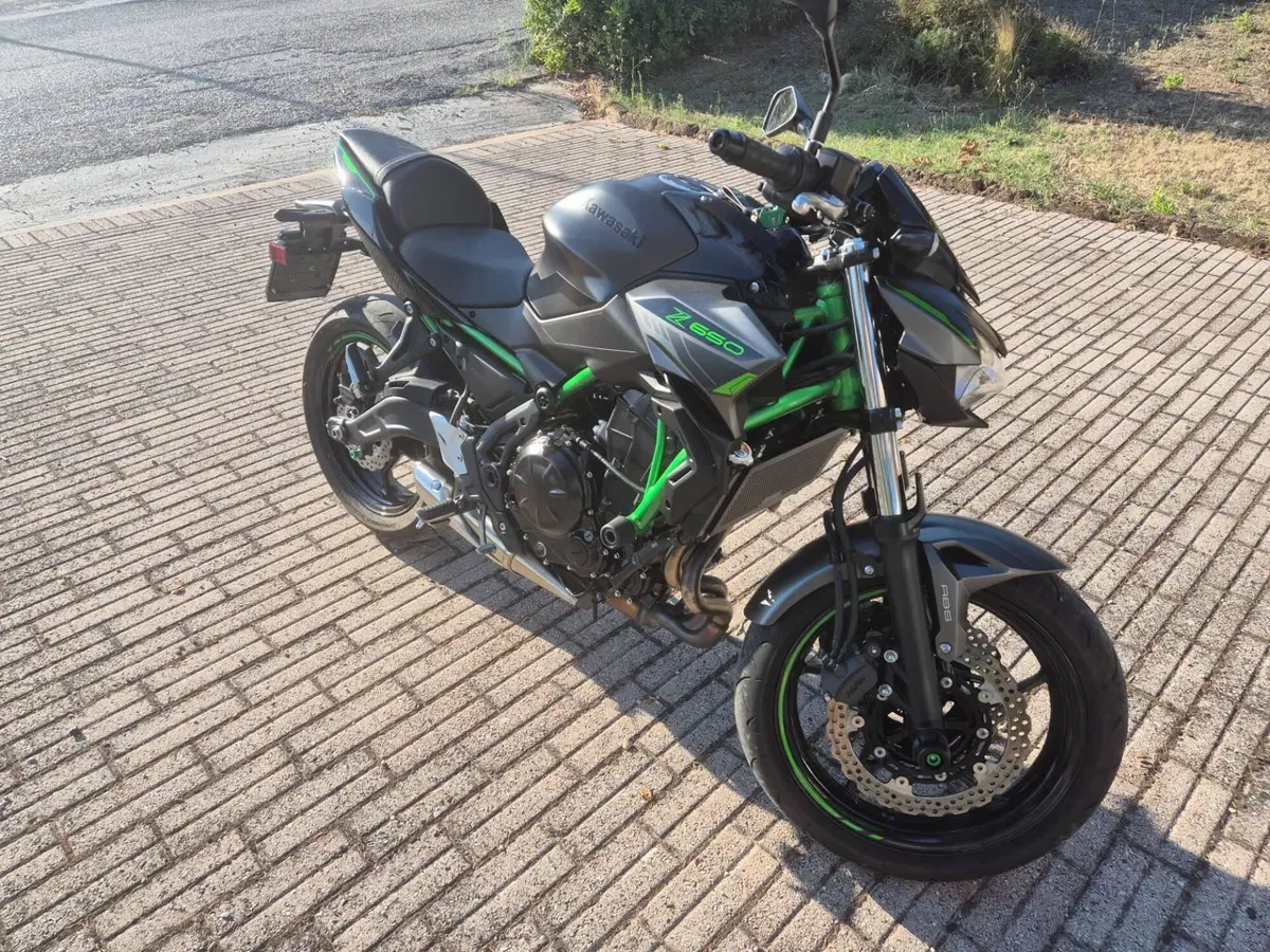 Kawasaki Z 650 (2021 - 24) (9)