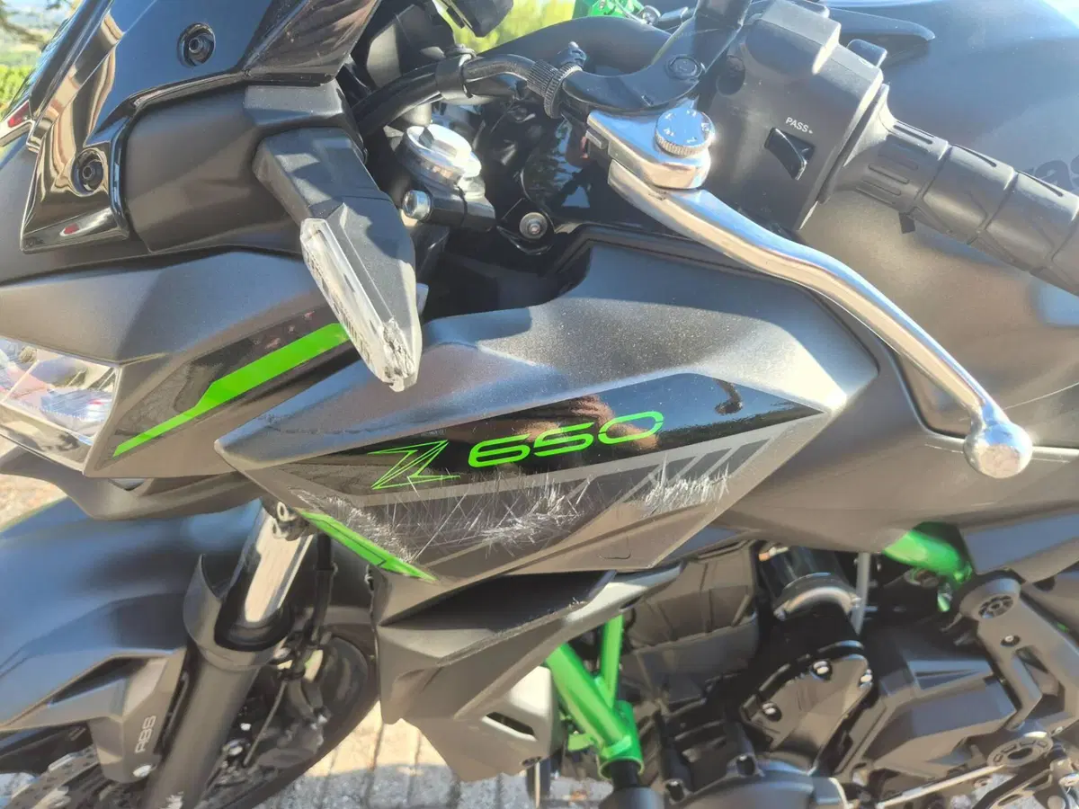 Kawasaki Z 650 (2021 - 24) (10)