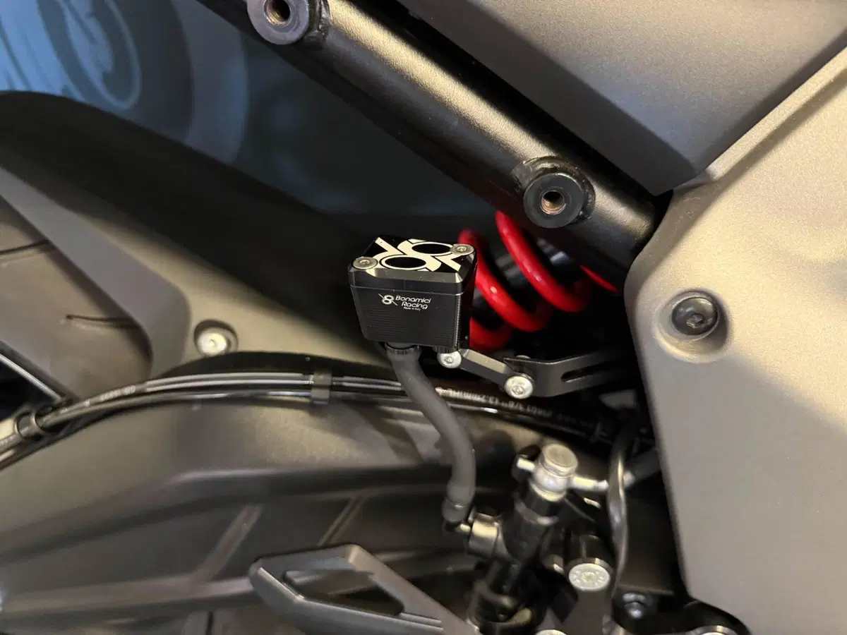 Triumph Daytona 660 (2024 - 26) (8)
