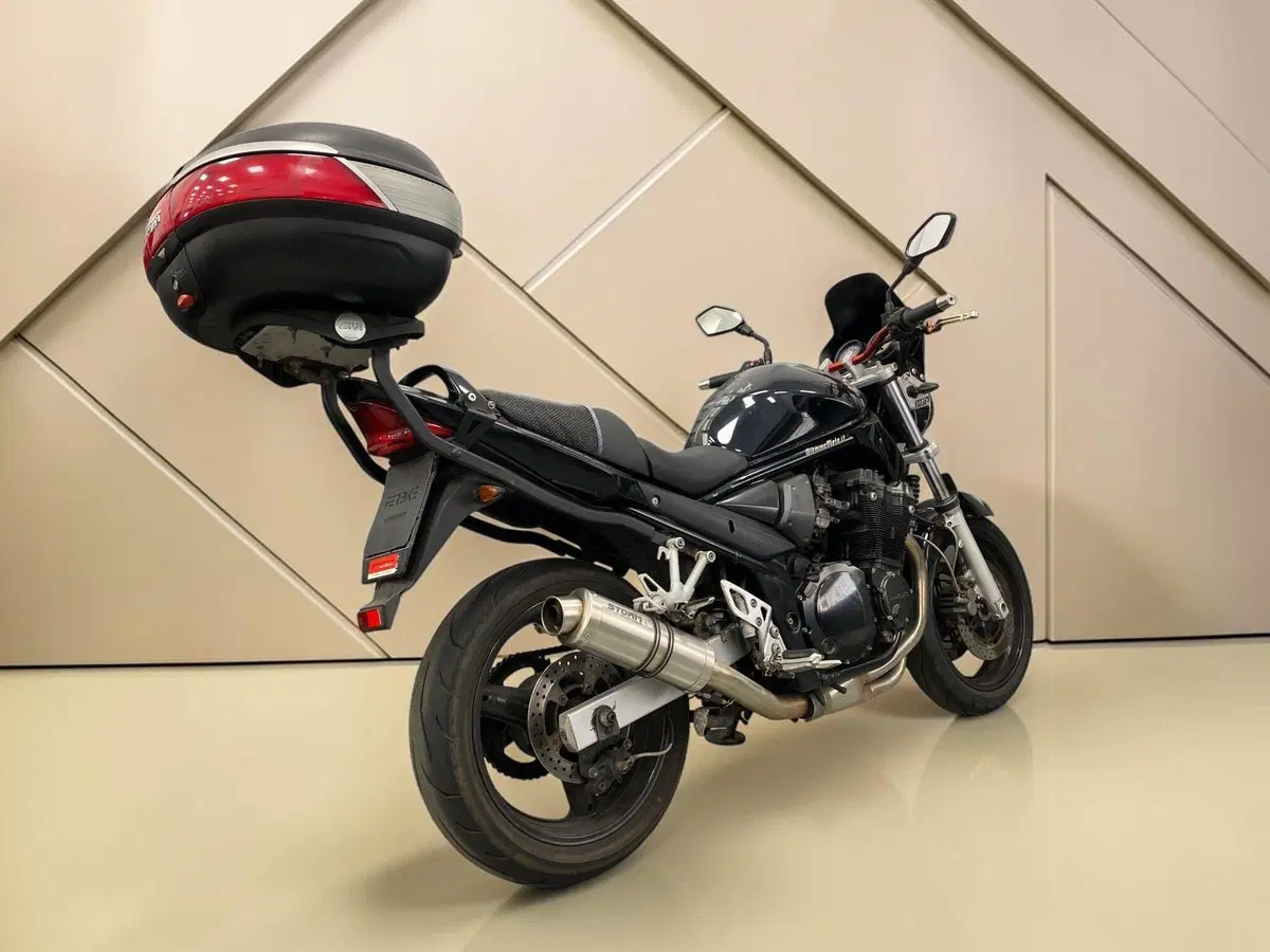 Suzuki GSF 650 Bandit (2005 - 06) (4)