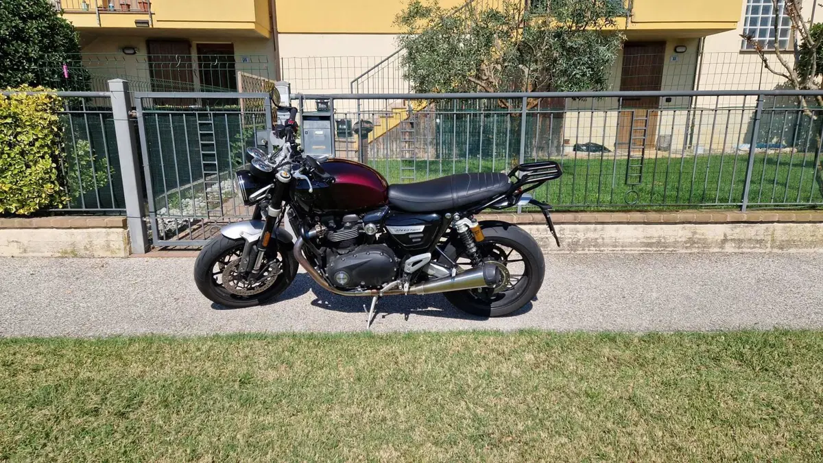 Triumph Speed Twin 1200 Stealth Edition (2024) (3)