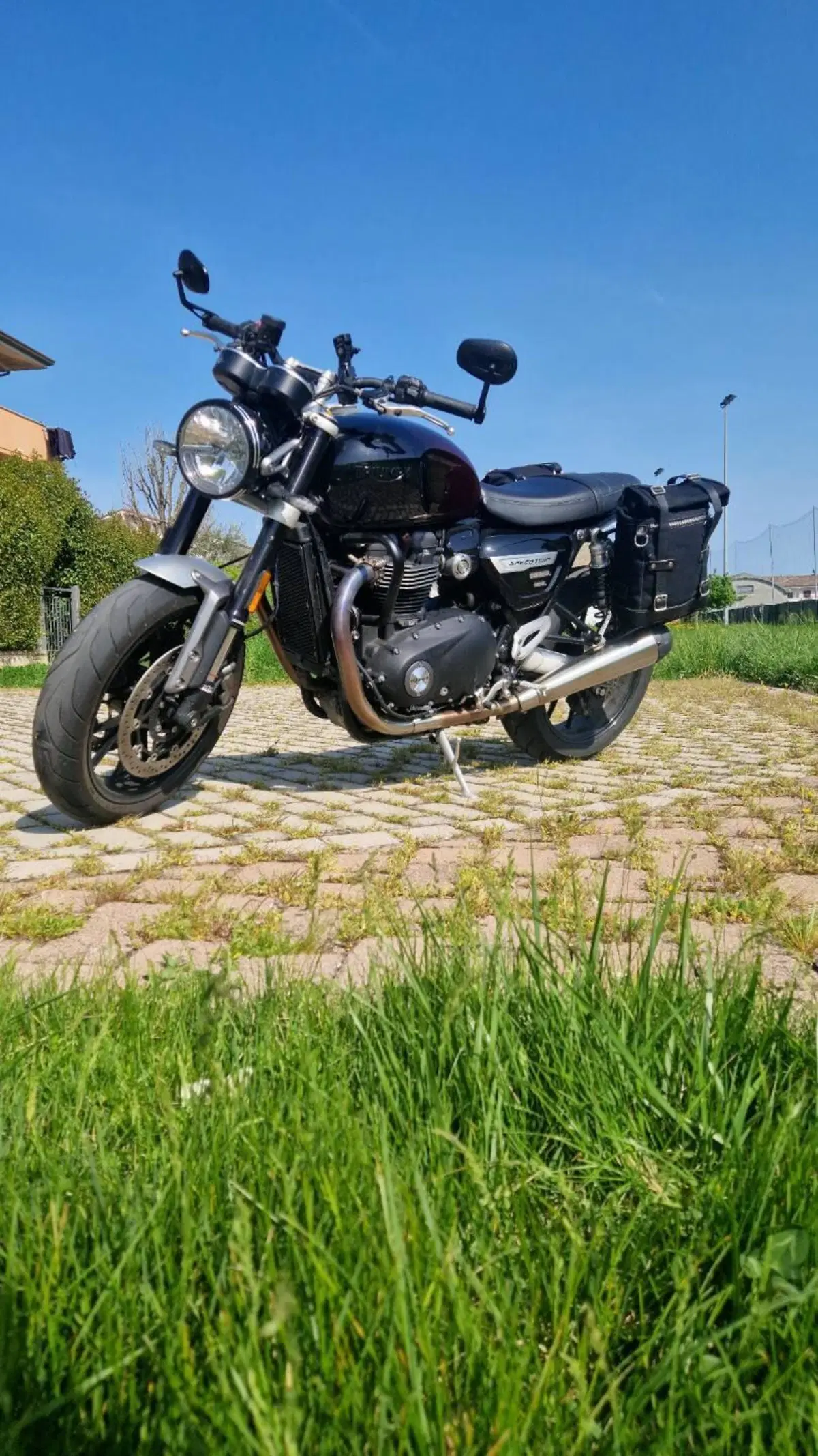 Triumph Speed Twin 1200 Stealth Edition (2024) (5)