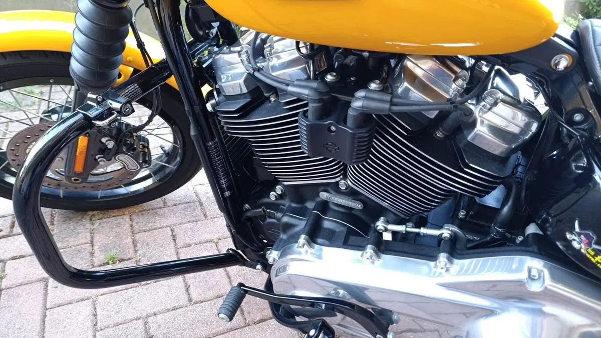 Harley-Davidson Street Bob 117 (2025 - 26) (2)
