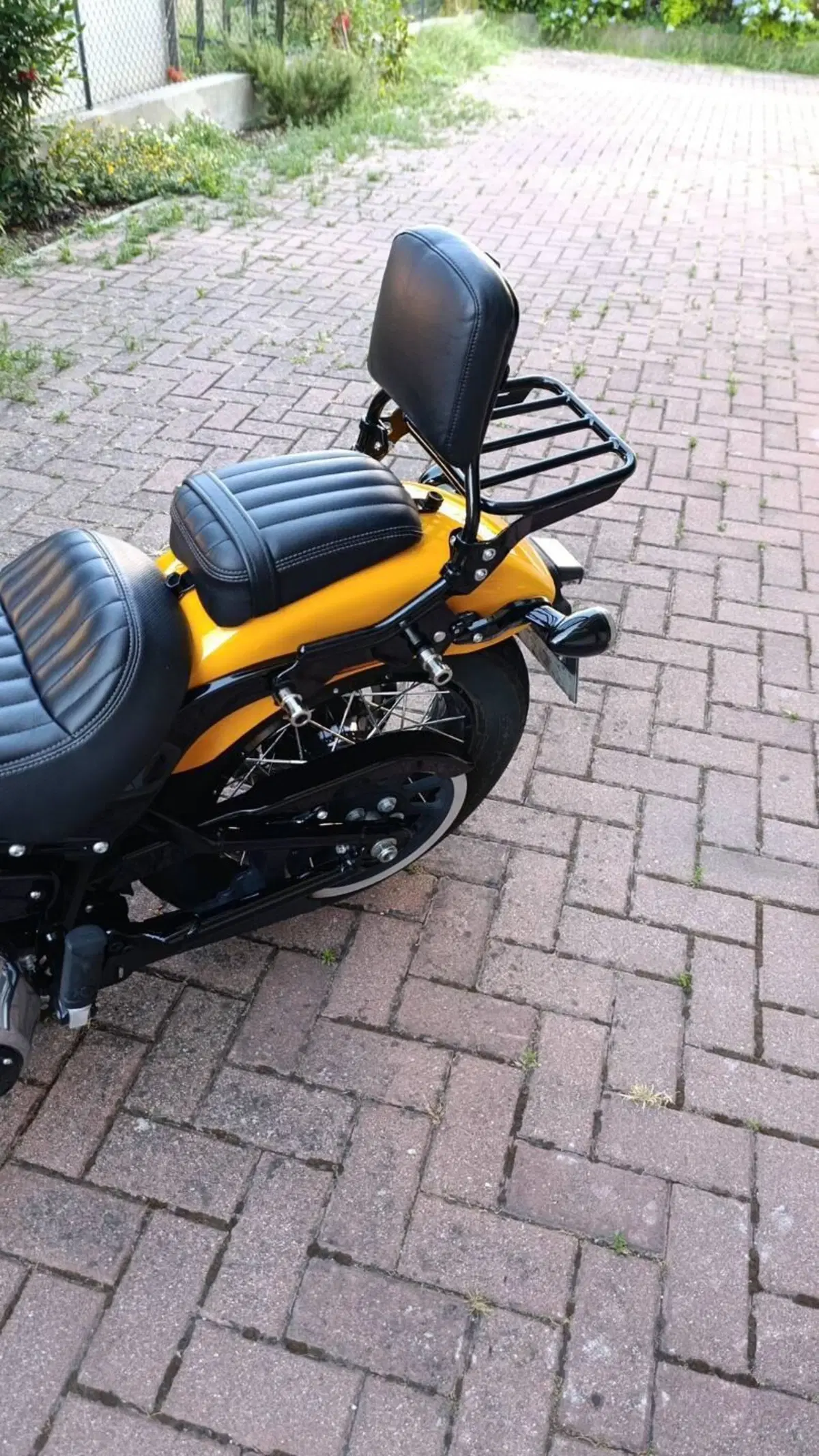 Harley-Davidson Street Bob 117 (2025 - 26) (6)