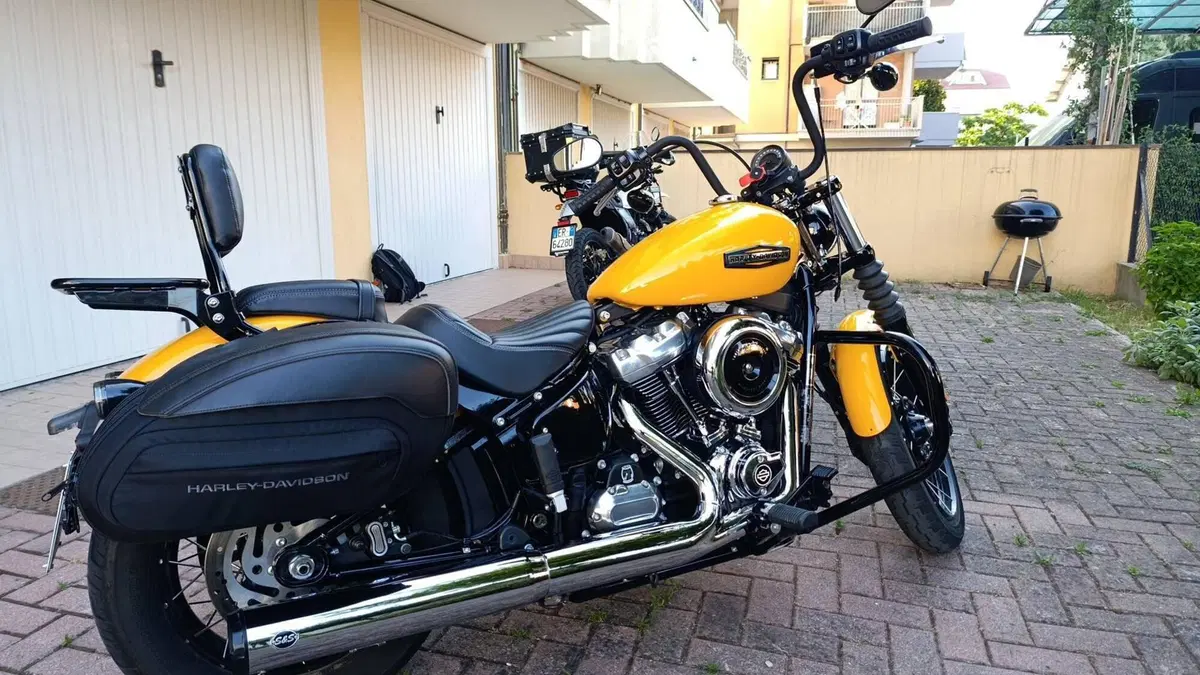 Harley-Davidson Street Bob 117 (2025 - 26) (7)