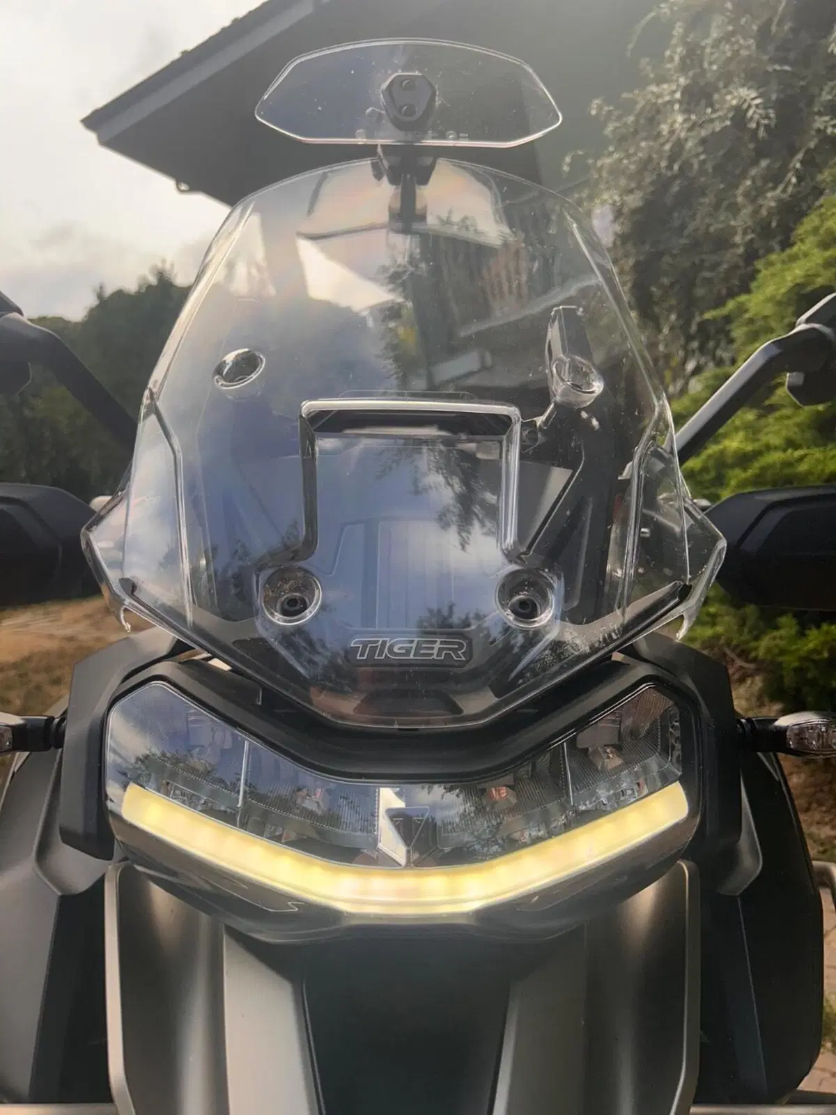 Triumph Tiger 1200 Rally Explorer (2024 - 26) (4)