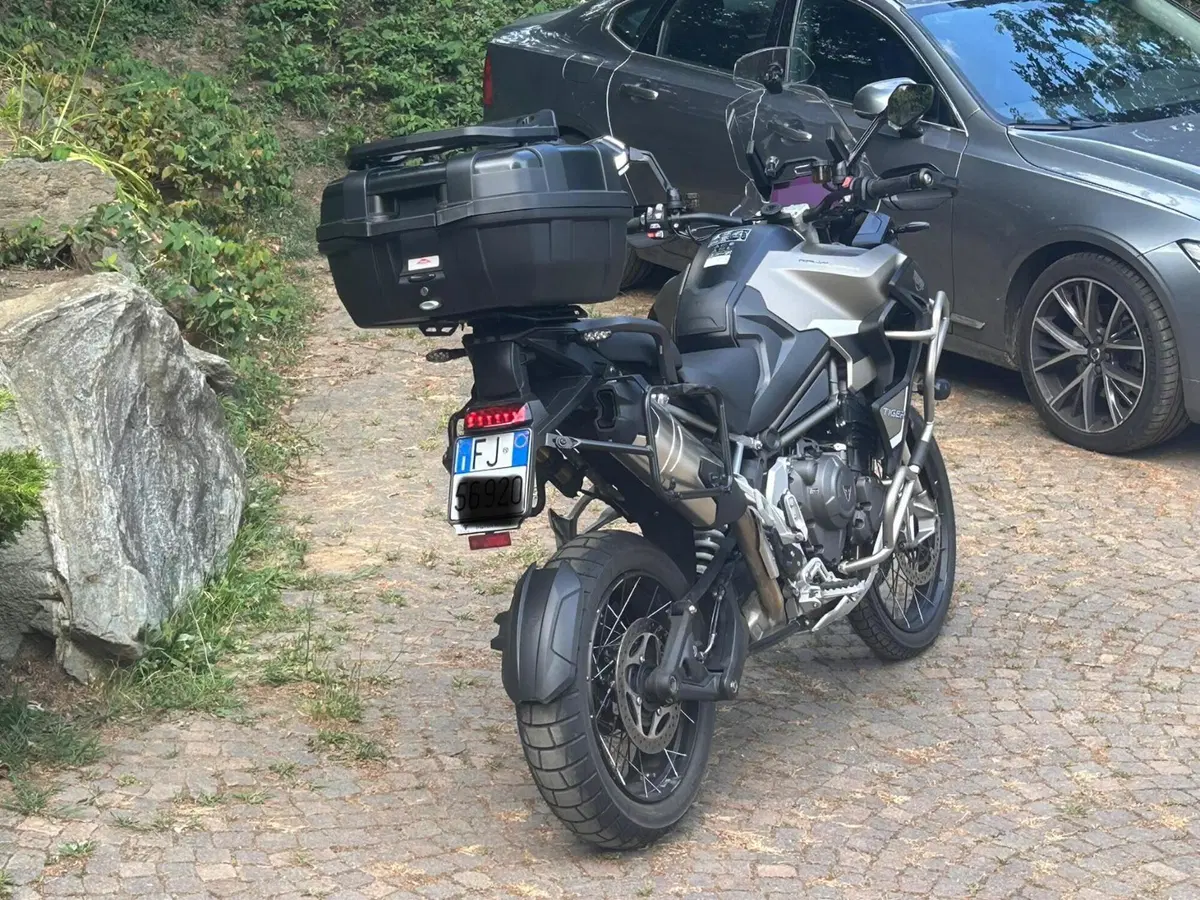 Triumph Tiger 1200 Rally Explorer (2024 - 26) (5)