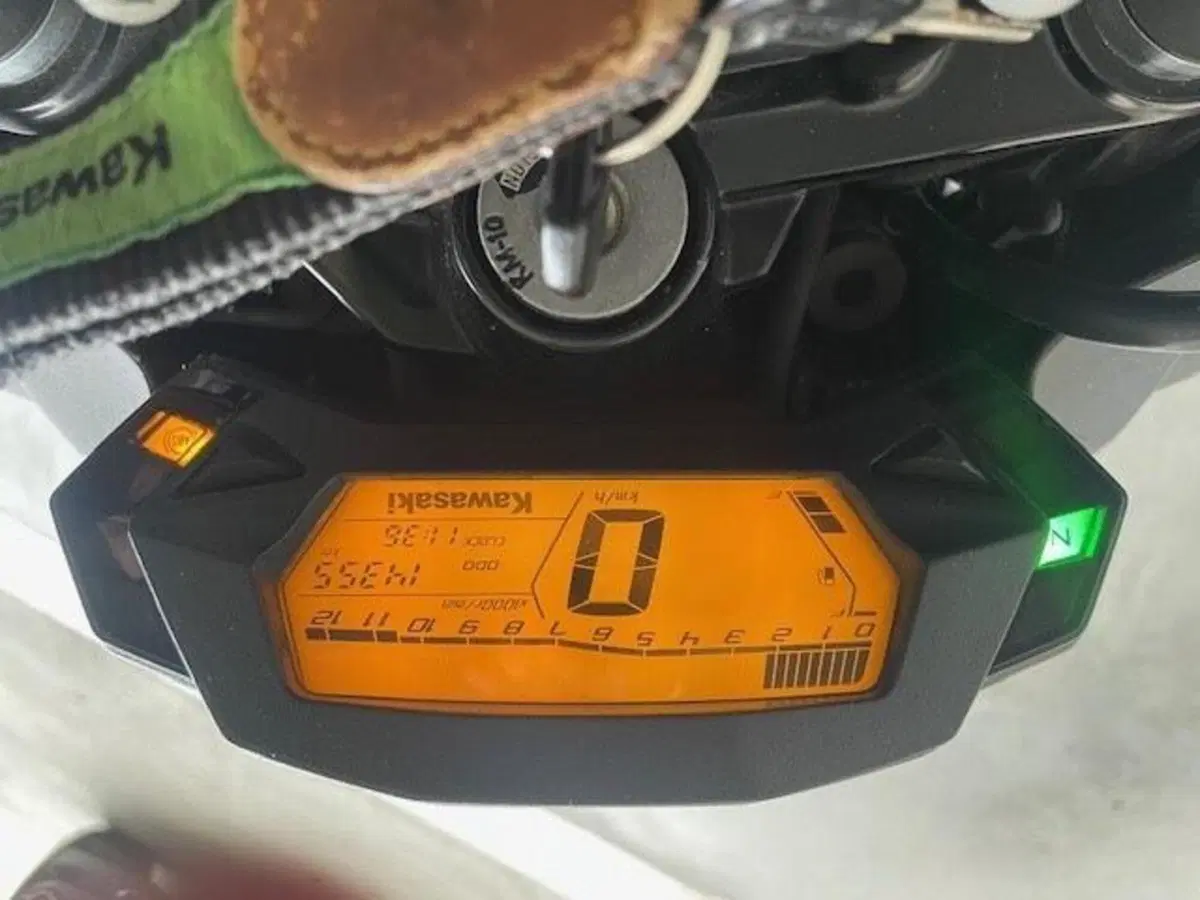 Kawasaki Z 125 (2019 - 20) (3)