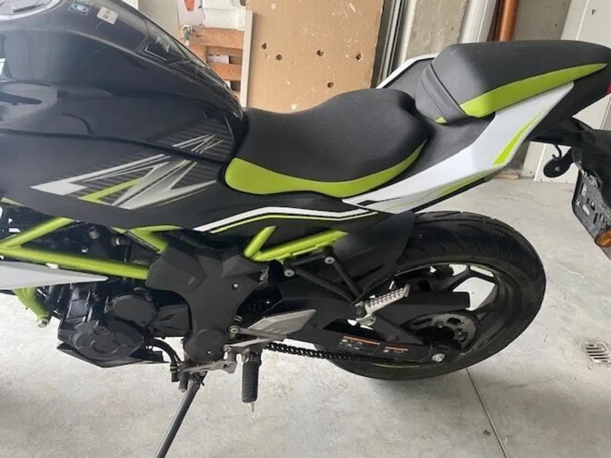 Kawasaki Z 125 (2019 - 20) (6)