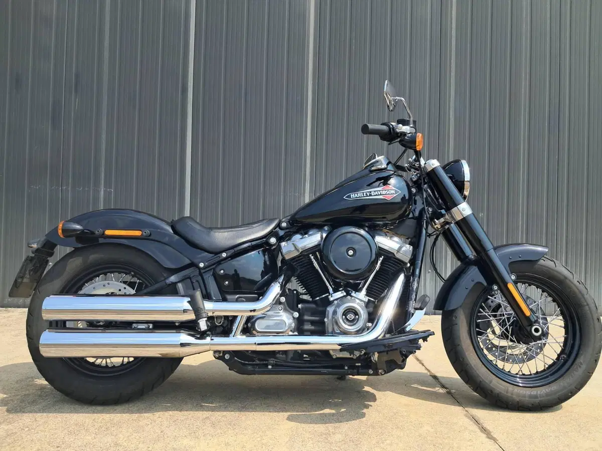 Harley-Davidson 107 Slim (2018 - 20) - FLSL