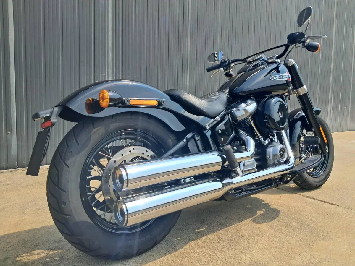 Harley-Davidson 107 Slim (2018 - 20) - FLSL (2)