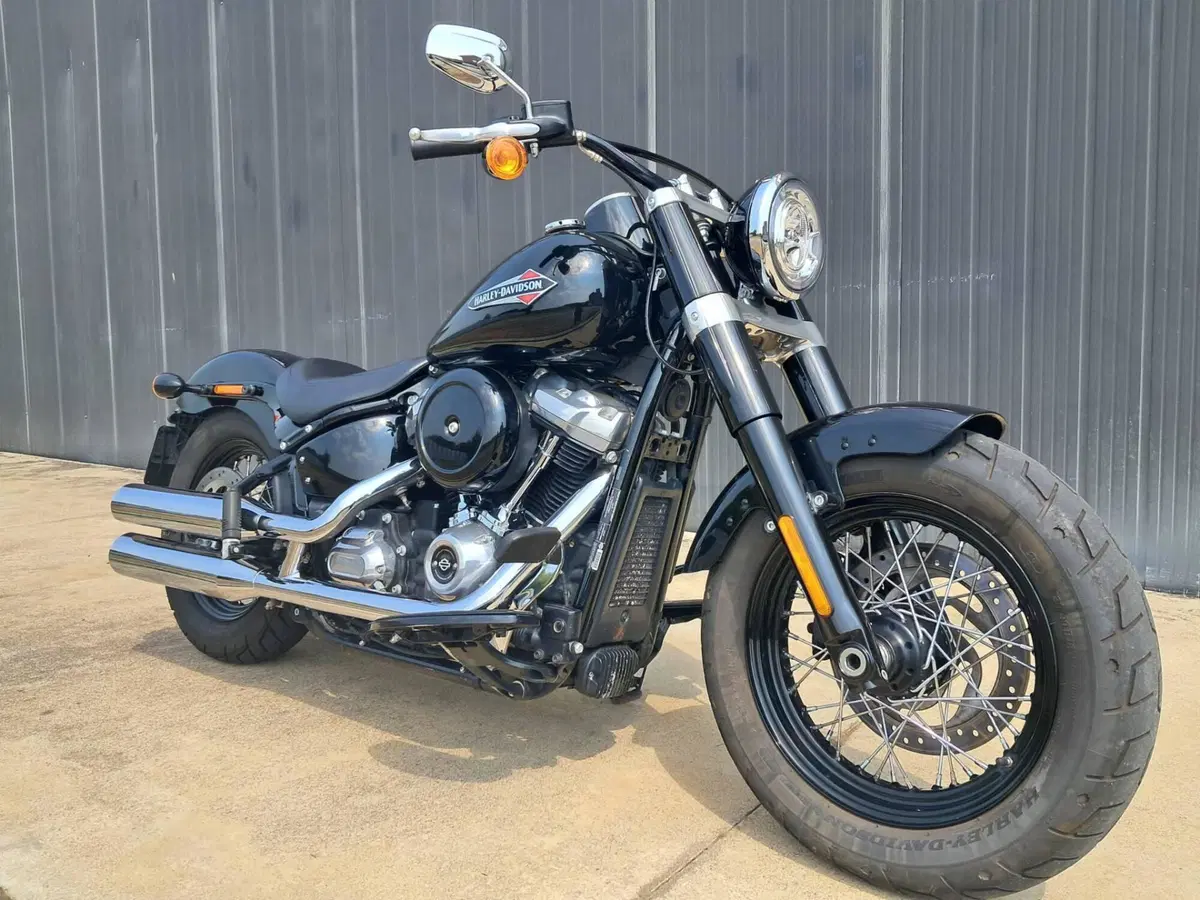 Harley-Davidson 107 Slim (2018 - 20) - FLSL (3)