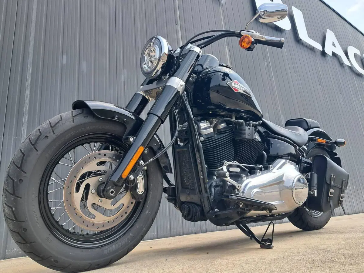Harley-Davidson 107 Slim (2018 - 20) - FLSL (5)
