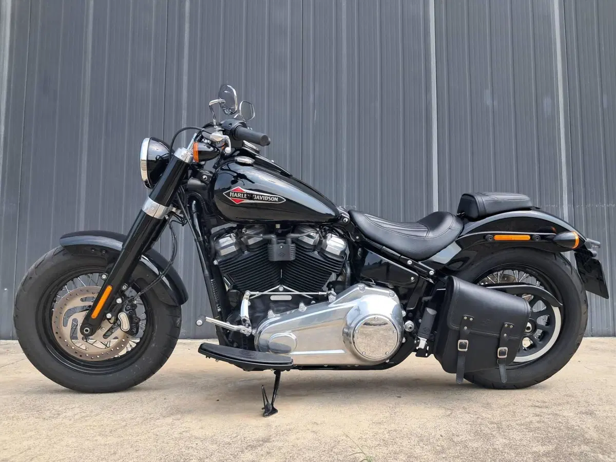 Harley-Davidson 107 Slim (2018 - 20) - FLSL (6)