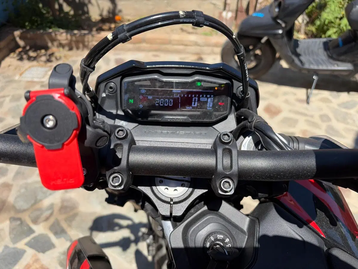 Ducati Hypermotard 698 Mono (2024 - 26)