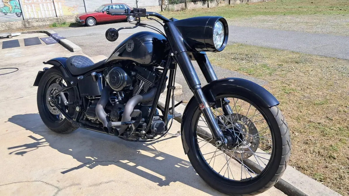Harley-Davidson 1584 Custom (2008 - 09) - FXSTC (2)