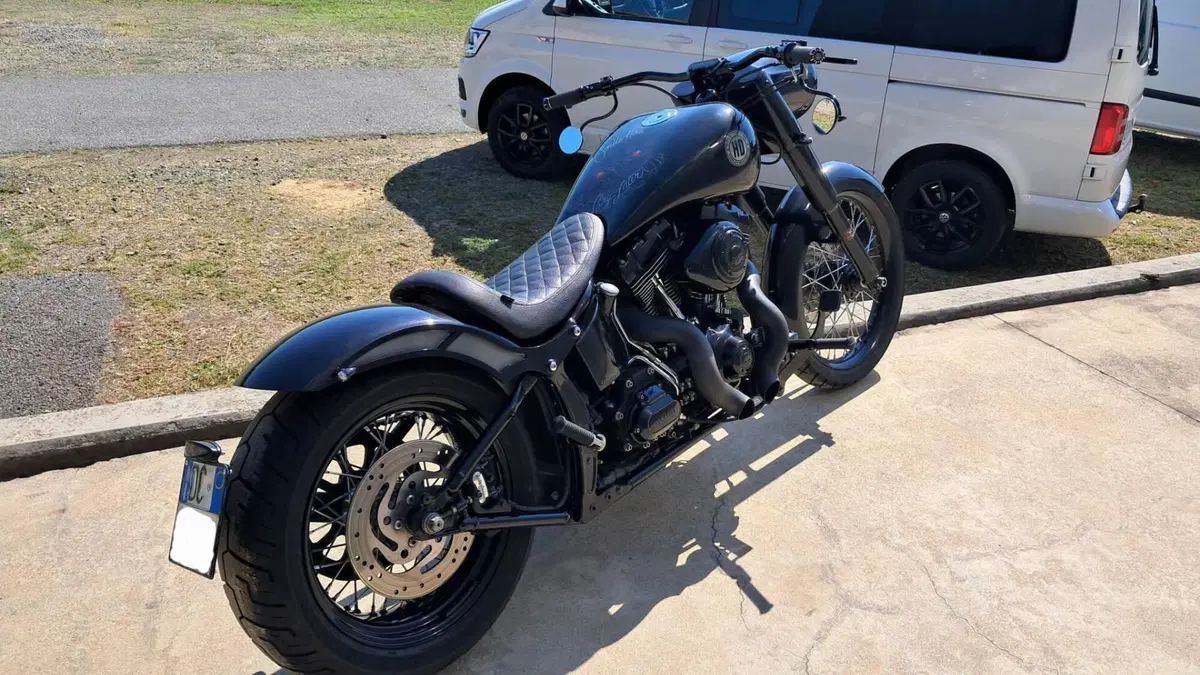 Harley-Davidson 1584 Custom (2008 - 09) - FXSTC (3)