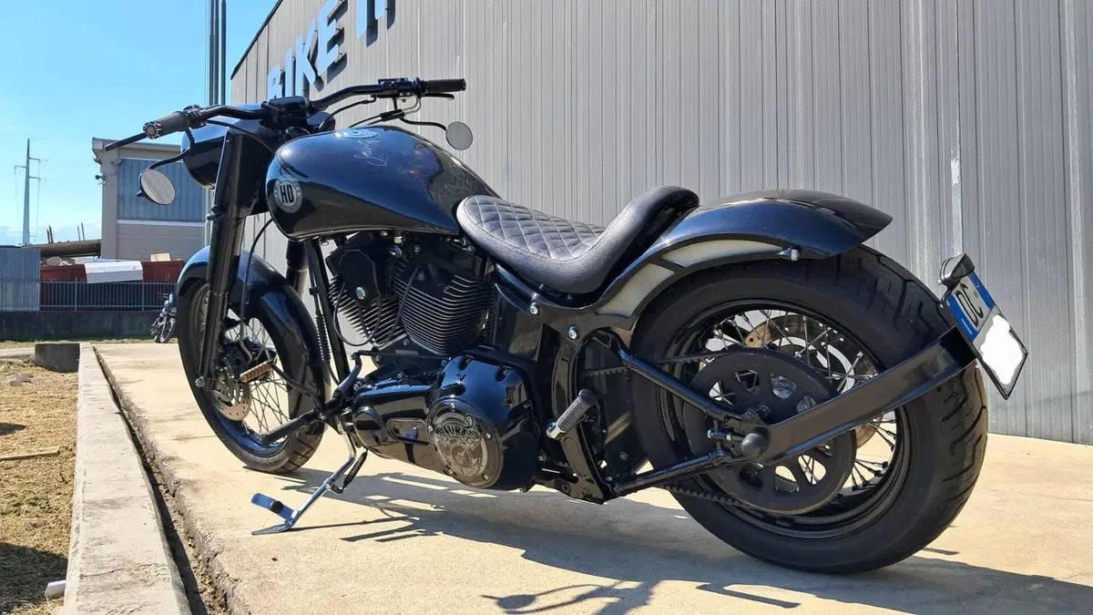Harley-Davidson 1584 Custom (2008 - 09) - FXSTC (4)